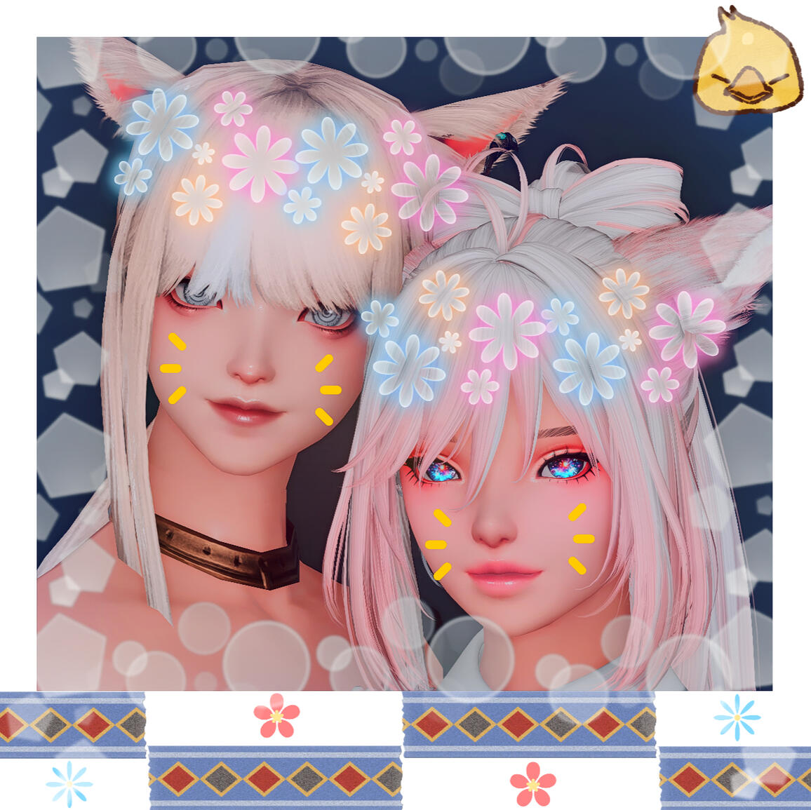 polaroid 1 polaroid 1